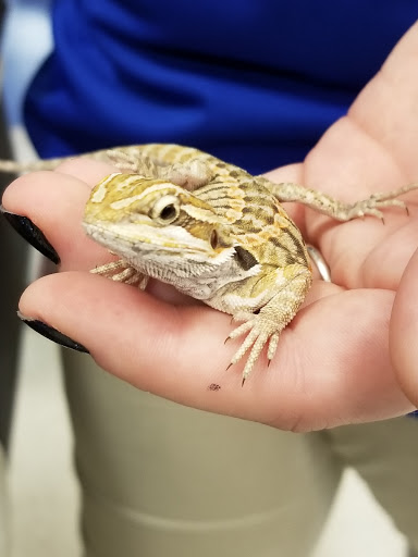 Pet Supply Store «PetSmart», reviews and photos, 355 Howe Ave, Cuyahoga Falls, OH 44221, USA