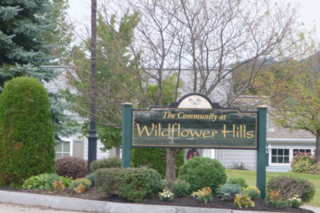 Wildflower Hills image 1