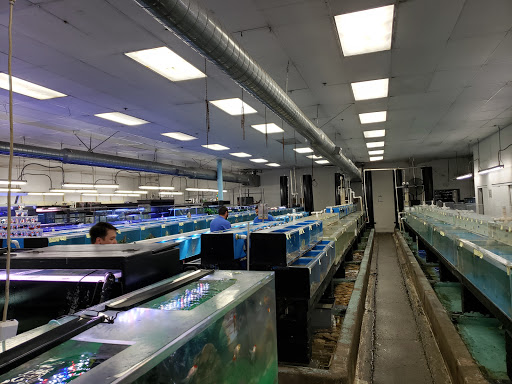 Pet Supply Store «Global Aquatics & Pet Supplies», reviews and photos, 1420 S Carlos Ave, Ontario, CA 91761, USA
