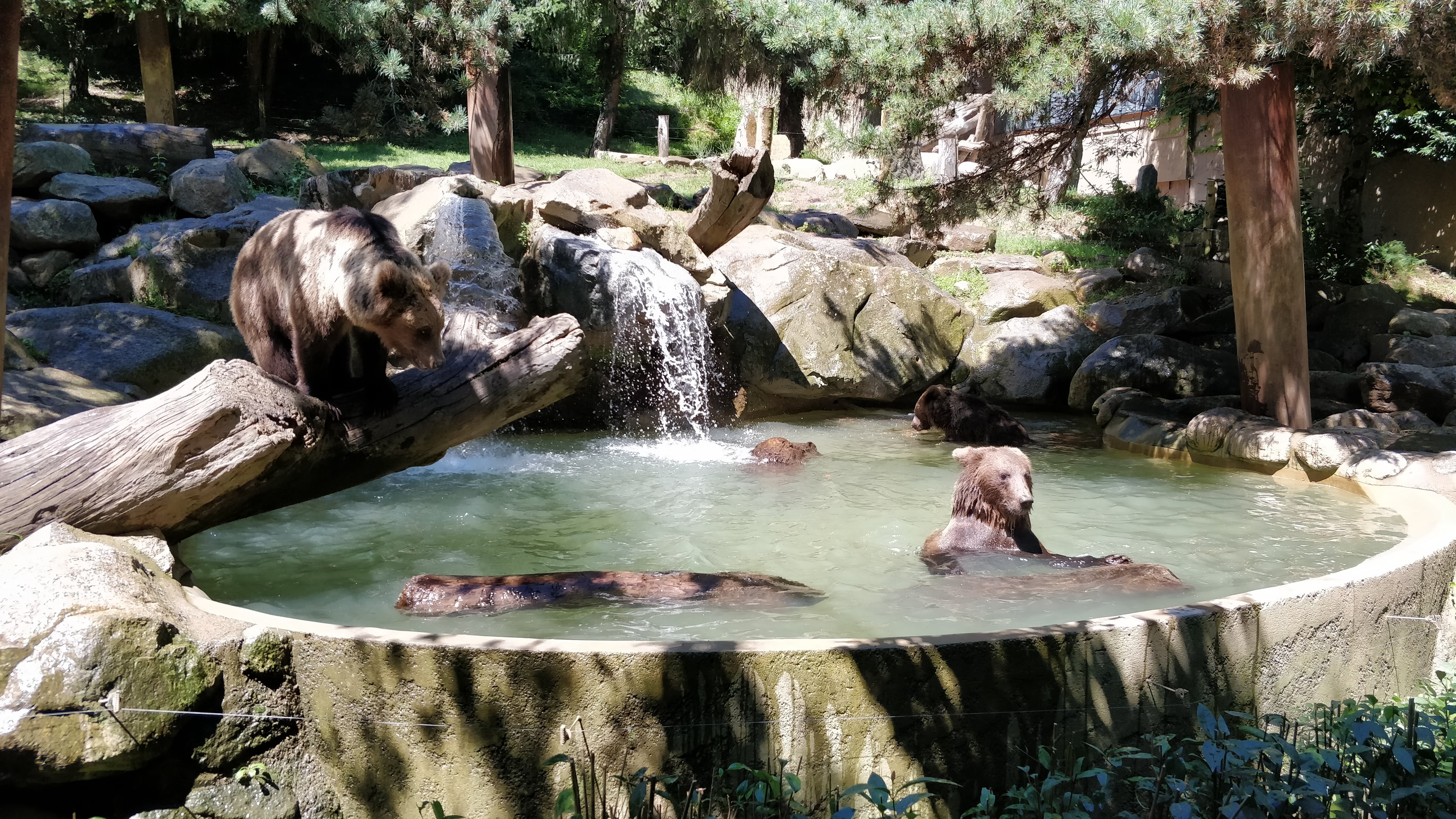 Photo n° 8 de l'avis de Nicolas.o fait le 15/08/2018 à 16:56