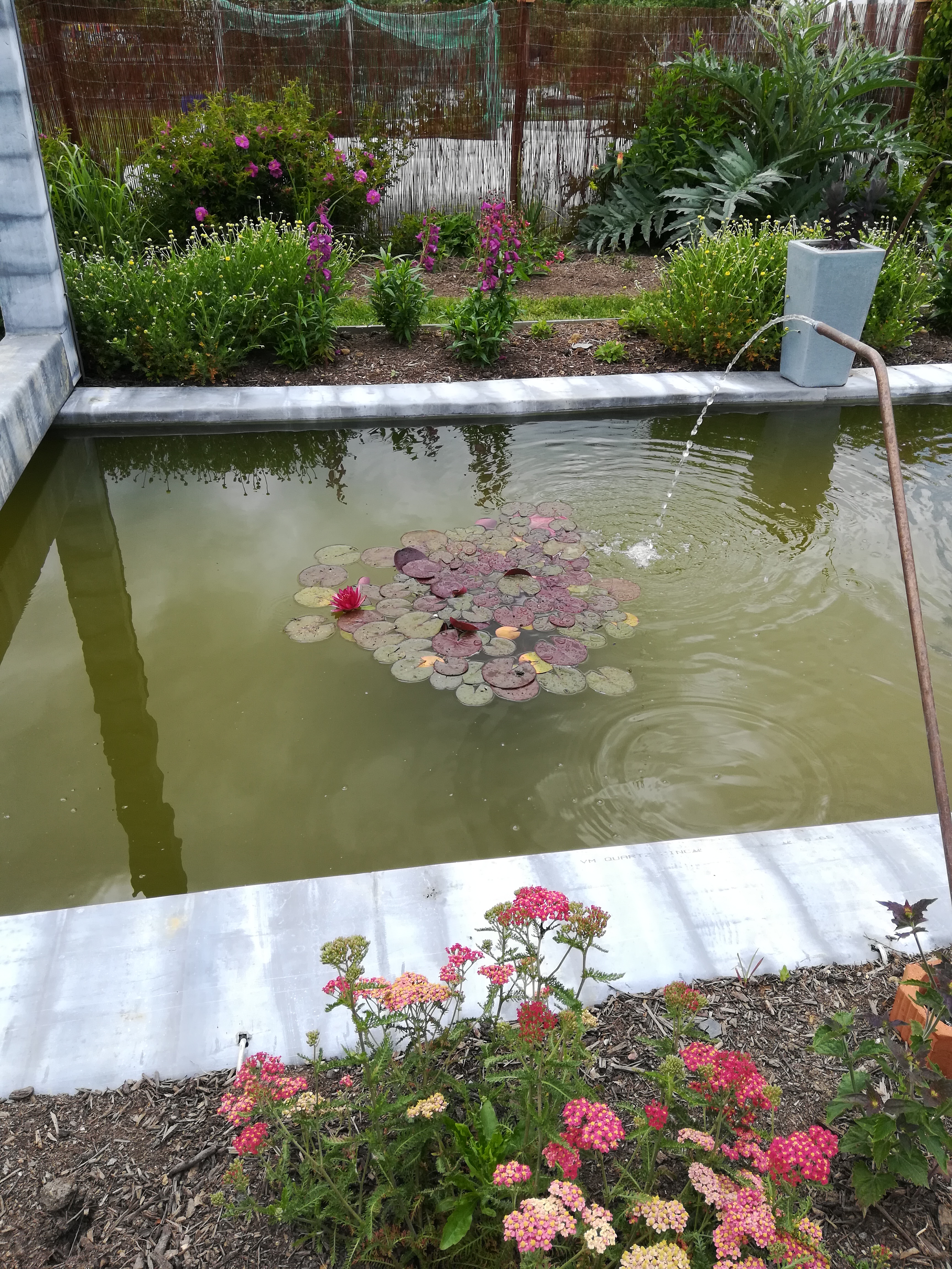 Photo n° 2 de l'avis de Céline. fait le 16/06/2019 à 16:25