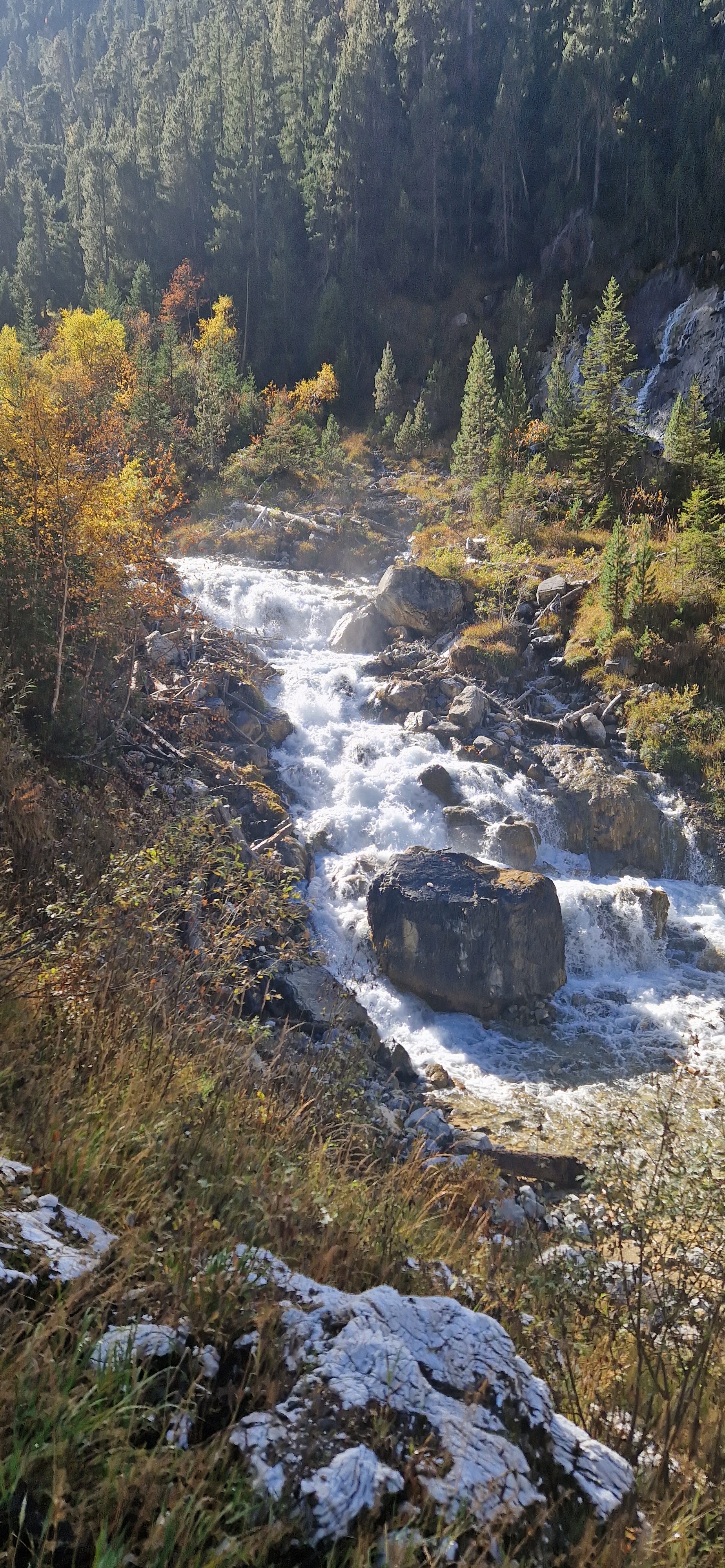 Photo n° 1 de l'avis de soline.a fait le 17/10/2023 à 11:43