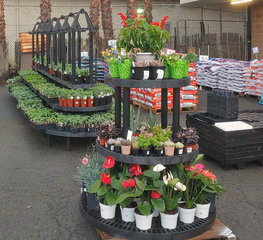 Hardware Store «Pittsburg Ace Hardware», reviews and photos, 125 E Leland Rd, Pittsburg, CA 94565, USA