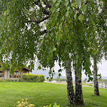 Photo n°6 de l'avis de Akin.l fait le 15/05/2024 à 07:21 sur le  La Fiorida à Mantello