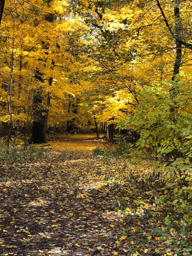 Nature Preserve «Forest Preserves of Cook County», reviews and photos, 9460 S Dee Rd, Park Ridge, IL 60068, USA