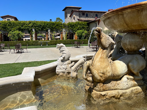 Vineyard «Jacuzzi Family Vineyards», reviews and photos, 24724 Arnold Dr, Sonoma, CA 95476, USA