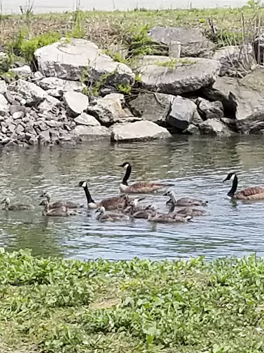 Park «Pierson Park», reviews and photos, 238 W Main St, Tarrytown, NY 10591, USA