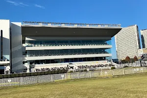 Kawasaki Racecourse Lawn open space image