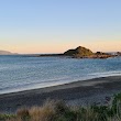 Island Bay Beach - Dog Exercise Area