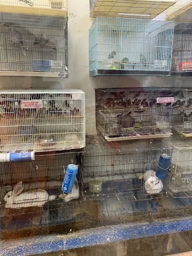 Pet Store «Fish-N-Pets Unlimited», reviews and photos, 11710 Bissonnet St, Houston, TX 77099, USA