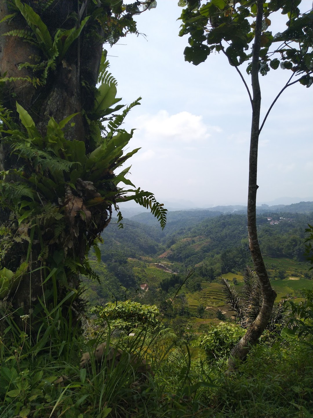 Curug Ulum Cipalasari