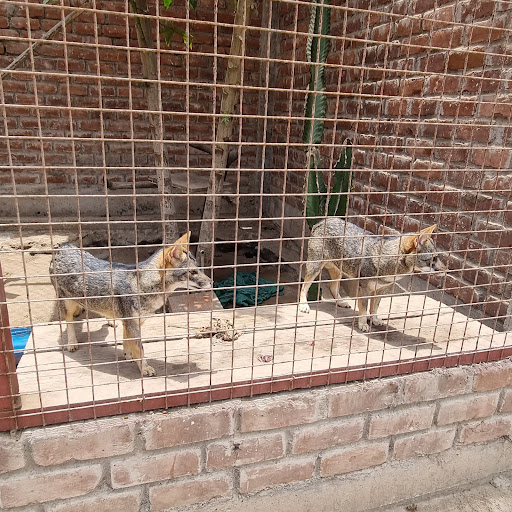 Zoo Huanchaco