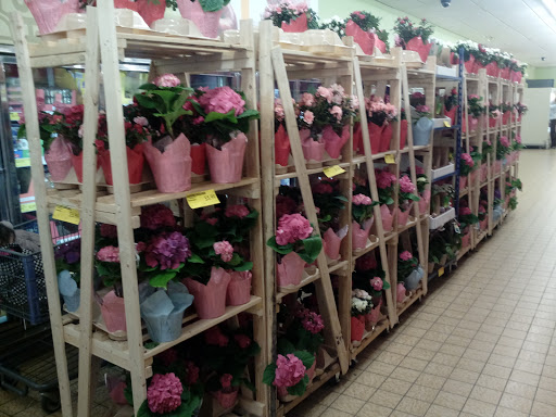 Supermarket «ALDI», reviews and photos, 2350 Rice St, Little Canada, MN 55113, USA