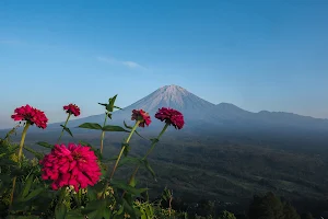 Paralayang Gunung Wayang Sumberwuluh image