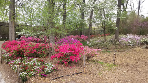 Zoo «Caldwell Zoo», reviews and photos, 2203 W Martin Luther King Jr Blvd, Tyler, TX 75702, USA