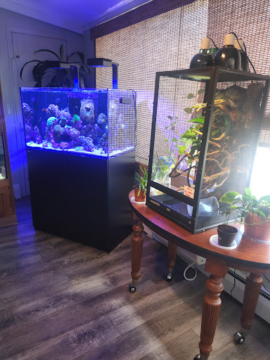 Pet Store «Caribbean Forest», reviews and photos, 24 Bursen Ct, Rochester, NY 14609, USA