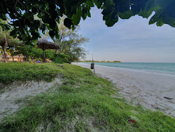 Pemba Beach'in fotoğrafı - rahatlamayı sevenler arasında popüler bir yer