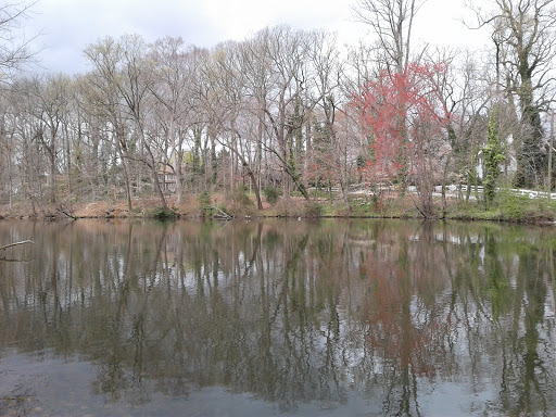 Historical Place «Hadrosaurus Foulki Leidy Site», reviews and photos, Maple Ave, Haddonfield, NJ 08033, USA