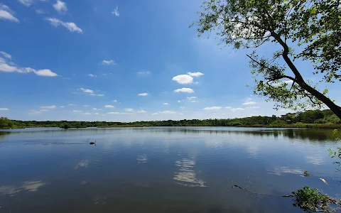 Fleet Pond Nature Reserve image