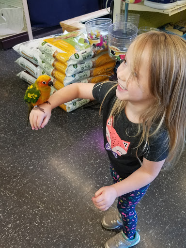 Pet Supply Store «City Pets & Ponds», reviews and photos, 4029 Mill St, Kansas City, MO 64111, USA