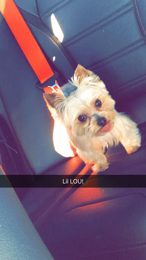 Pet Store «Carters Pet Mart», reviews and photos, 510 N Main St, Manteca, CA 95336, USA