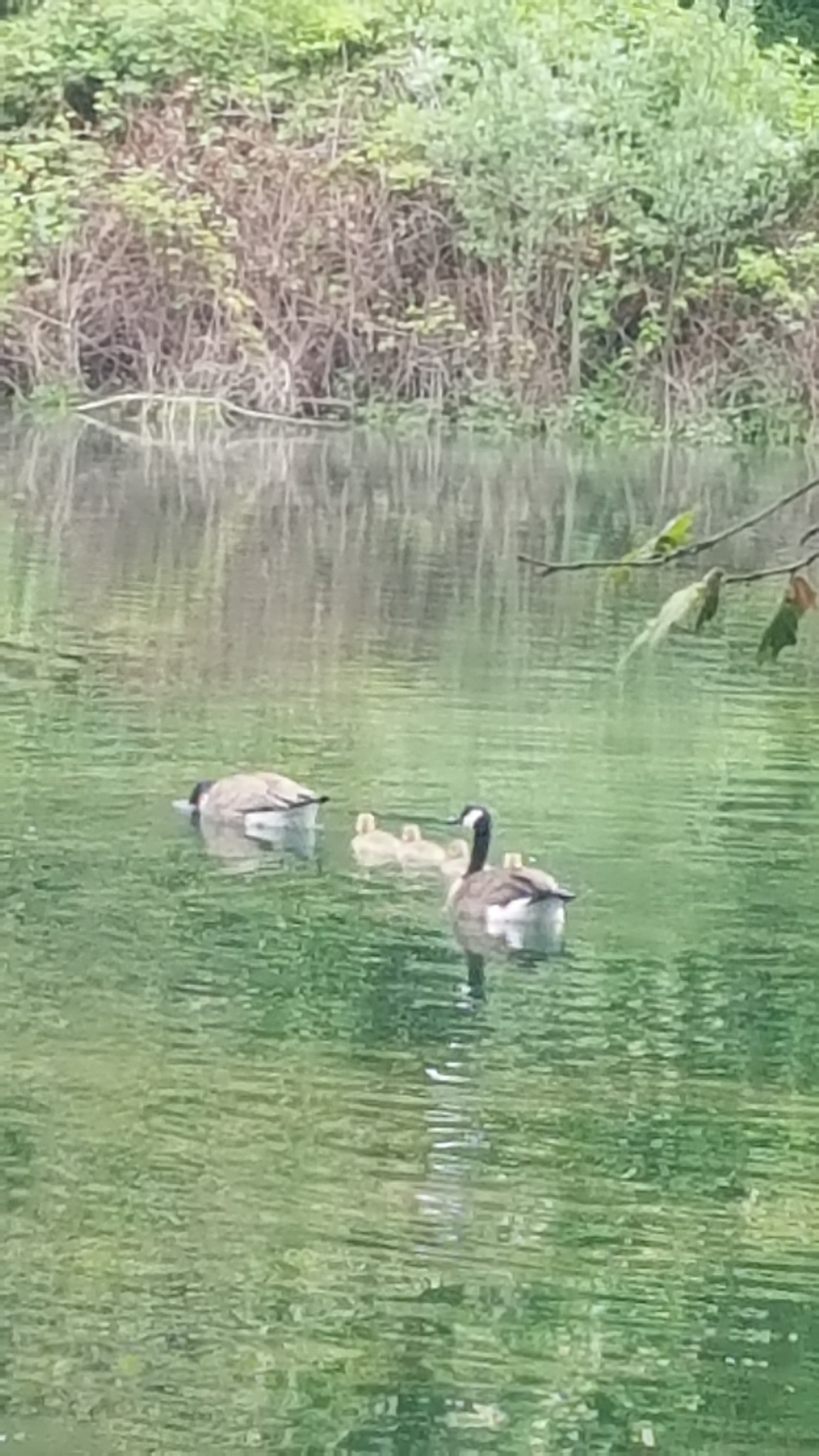 Photo n° 2 de l'avis de Xavier.a fait le 18/05/2021 à 08:28