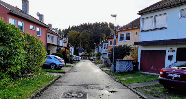 Recenze na Český kynologický svaz - Základní kynologická organizace č. 343 Česká Lípa - Obecní les v Česká Lípa - Organizace