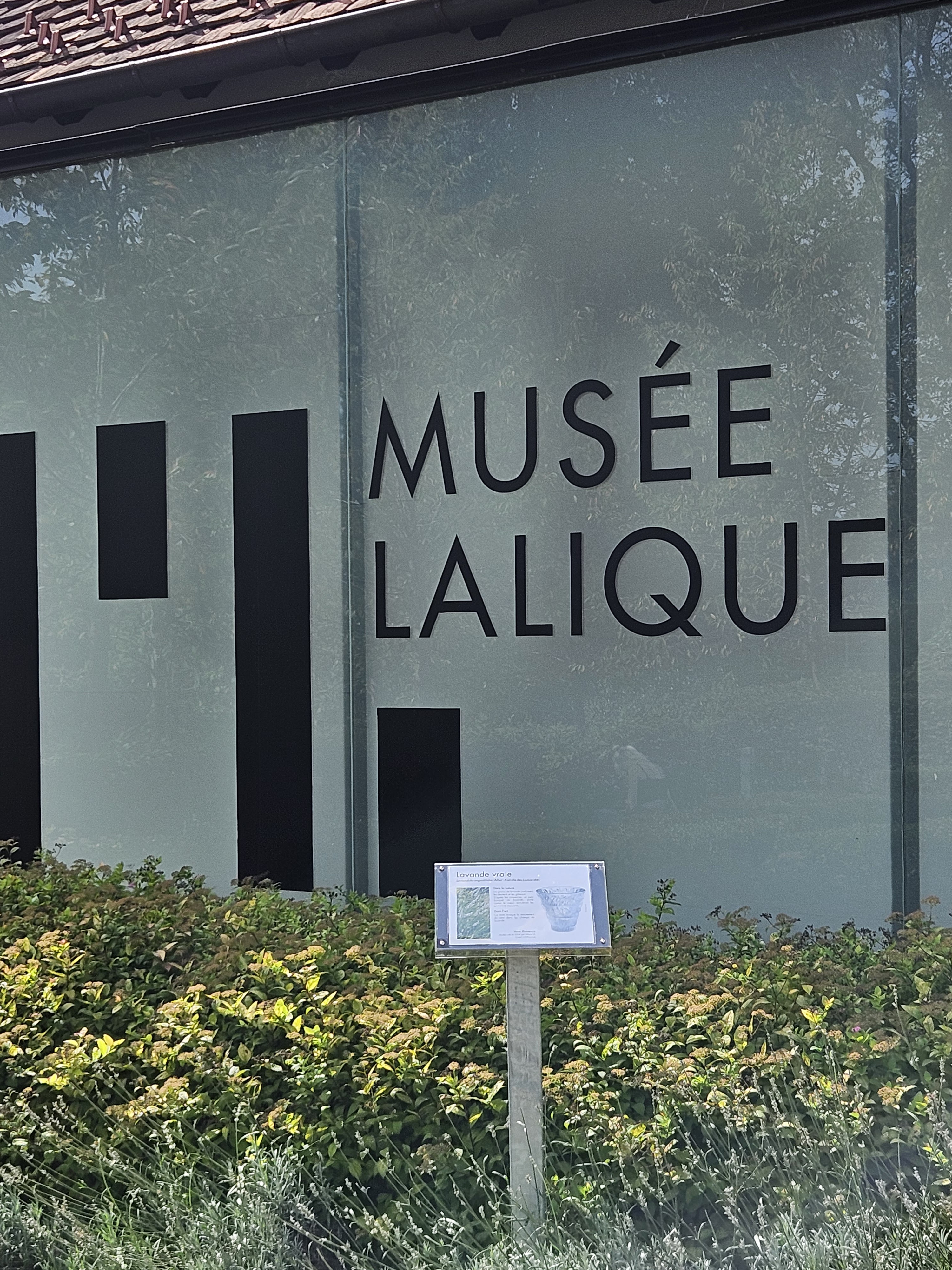 Photo n° 2 de l'avis de Miss. fait le 25/08/2023 à 14:41
