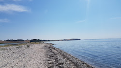 Foto av Saltofte Beach med lång rak strand