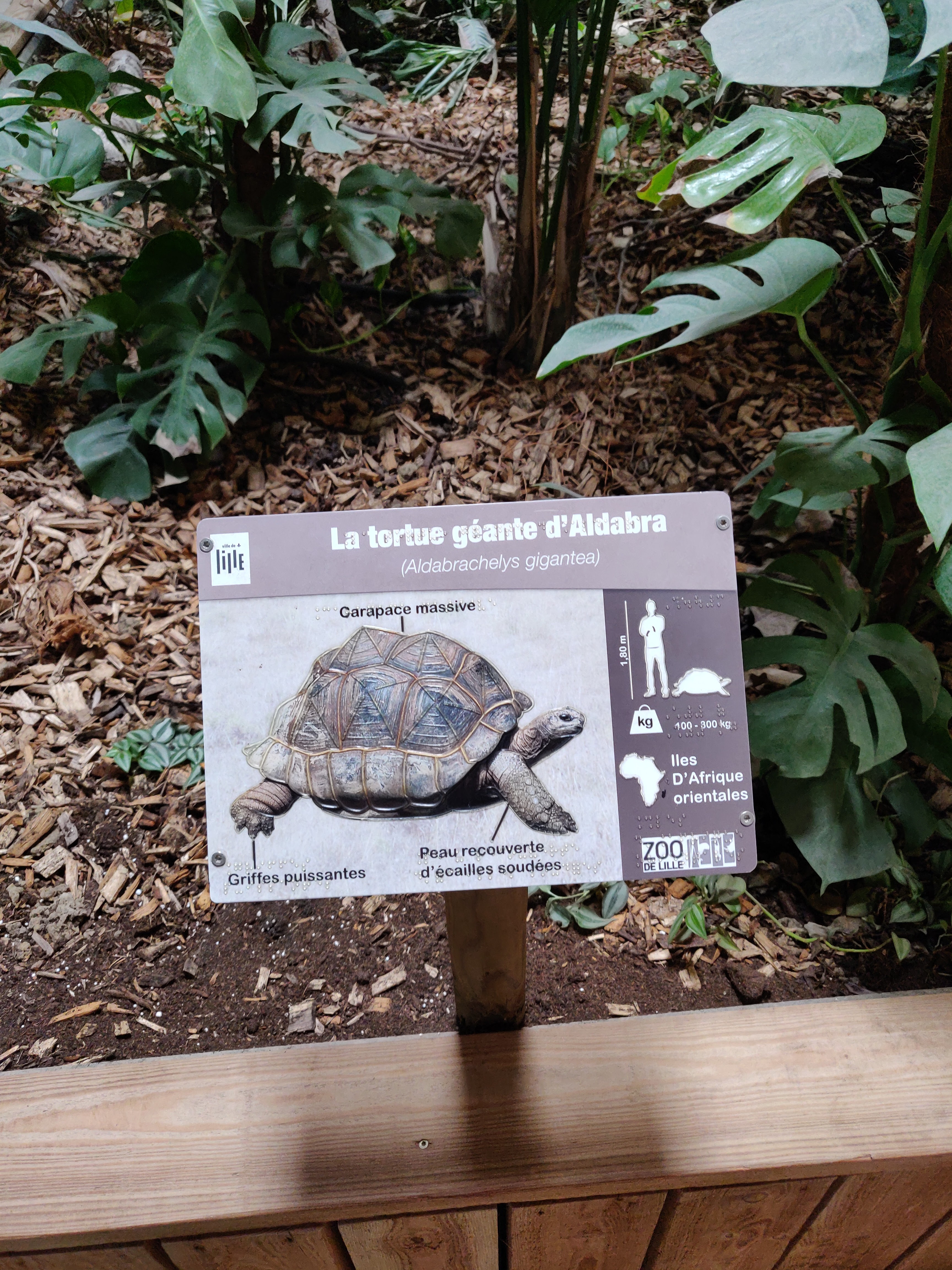 Photo n° 23 de l'avis de Amélie.e fait le 31/08/2019 à 17:39