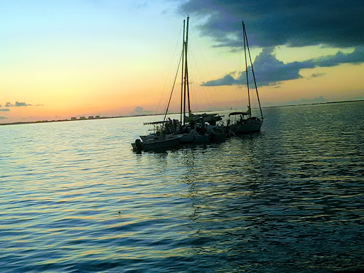 Performing Arts Theater «Van Wezel Performing Arts Hall», reviews and photos, 777 N Tamiami Trail, Sarasota, FL 34236, USA