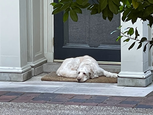 Real Estate Agency «Hank Cosby Real Estate», reviews and photos, 3812 Old Buckingham Road, Powhatan, VA 23139, USA