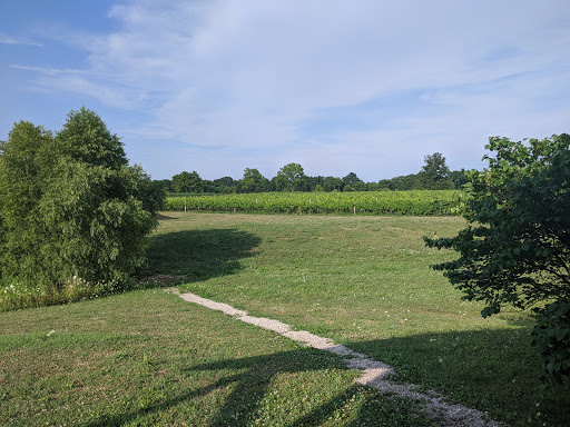 Vineyard «Vermilion Valley Vineyards», reviews and photos, 11005 Gore Orphanage Rd, Wakeman, OH 44889, USA