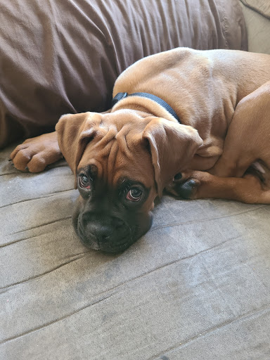 1130 Beville Rd, Daytona Beach, FL 32114, USA