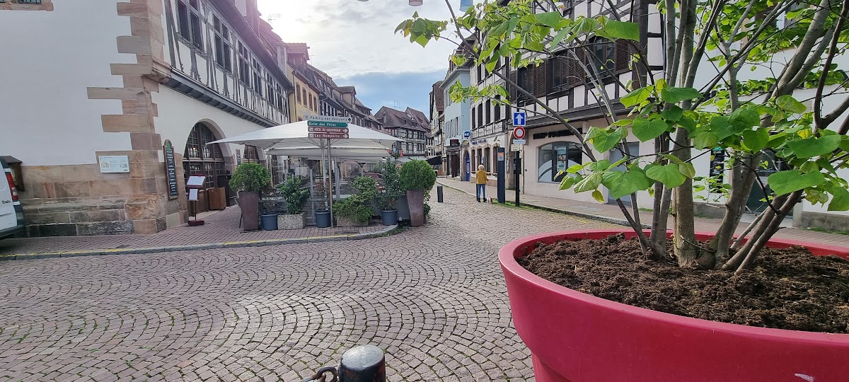 Immobiliere Des Remparts à Obernai