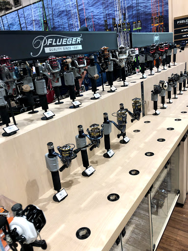 Outdoor Sports Store «Field & Stream», reviews and photos, 800 Brevard Rd #901, Asheville, NC 28806, USA