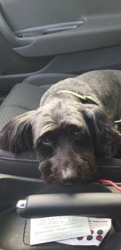 Pet Supply Store «PetSmart», reviews and photos, 1700 Norman Dr #200, Valdosta, GA 31601, USA