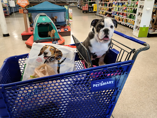 Pet Supply Store «PetSmart», reviews and photos, 3220 W Shaw Ave, Fresno, CA 93711, USA