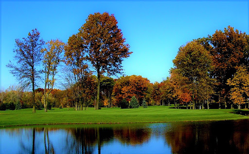 Golf Club «Bedford Hills Golf Club», reviews and photos, 6400 Jackman Rd, Temperance, MI 48182, USA