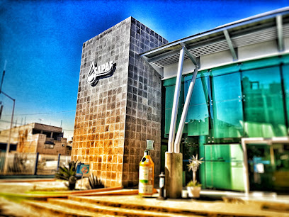 SAPAF - Sistema de Agua Potable y Alcantarillado Municipio de San Francisco del Rincón, Gto.