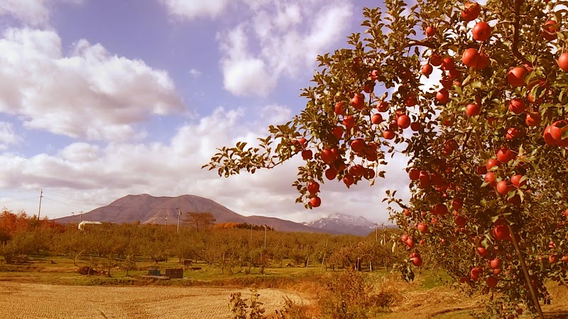 信州マルヤマリンゴ農園