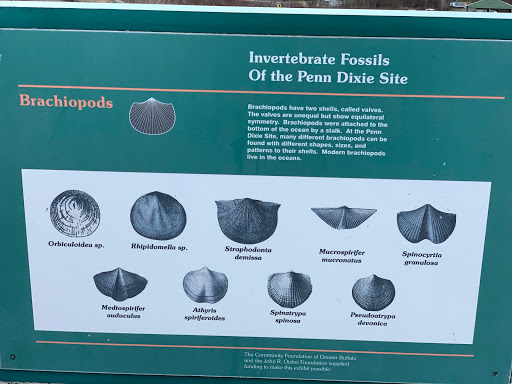 Nature Preserve «Penn Dixie Fossil Park & Nature Reserve», reviews and photos, 4050 North St, Blasdell, NY 14219, USA