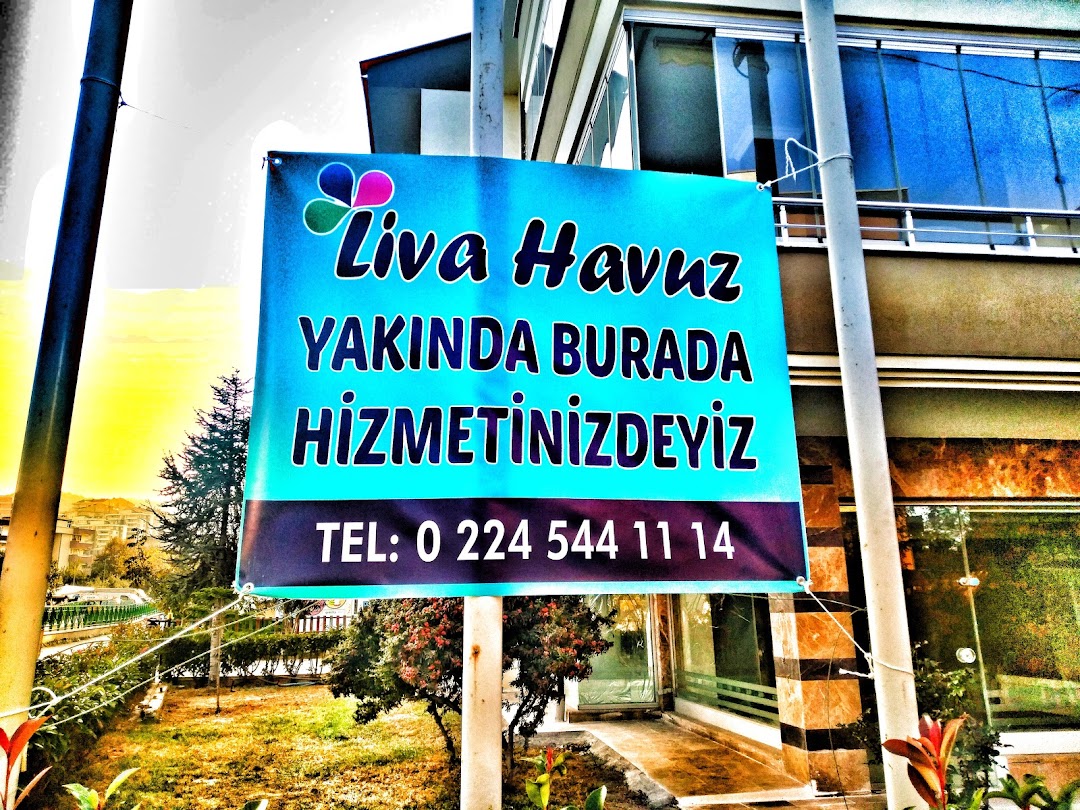 Liva Havuz