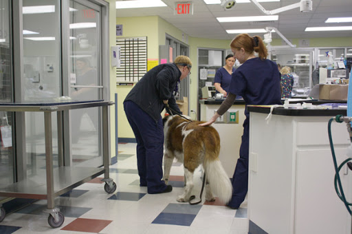 MSPCA-Angell West image