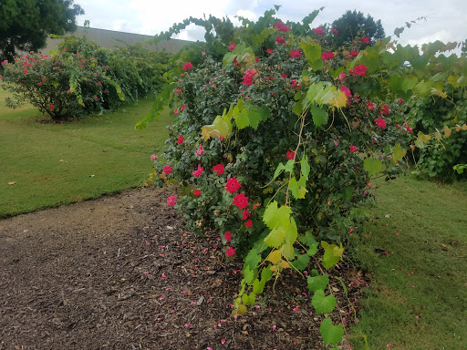 Golf Club «The Château Élan Golf Club», reviews and photos, 6060 Golf Club Dr, Braselton, GA 30517, USA