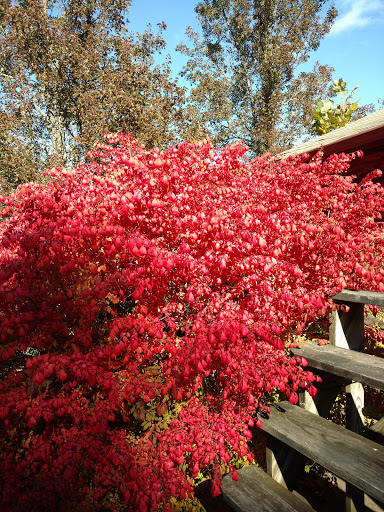 Gift Shop «Oronoque Farms», reviews and photos, 188 Leavenworth Rd, Shelton, CT 06484, USA