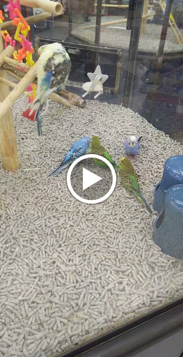 Pet Supply Store «Petco Animal Supplies», reviews and photos, 1250 William D Tate Ave #200, Grapevine, TX 76051, USA