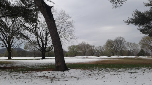 Golf Course «McCabe Golf Course», reviews and photos, 4601 Murphy Rd, Nashville, TN 37209, USA