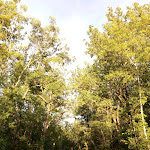 Photo n° 7 de l'avis de Carlos.i fait le 21/08/2019 à 10:39 pour Camping Des Arcades à Barguelonne-en-Quercy