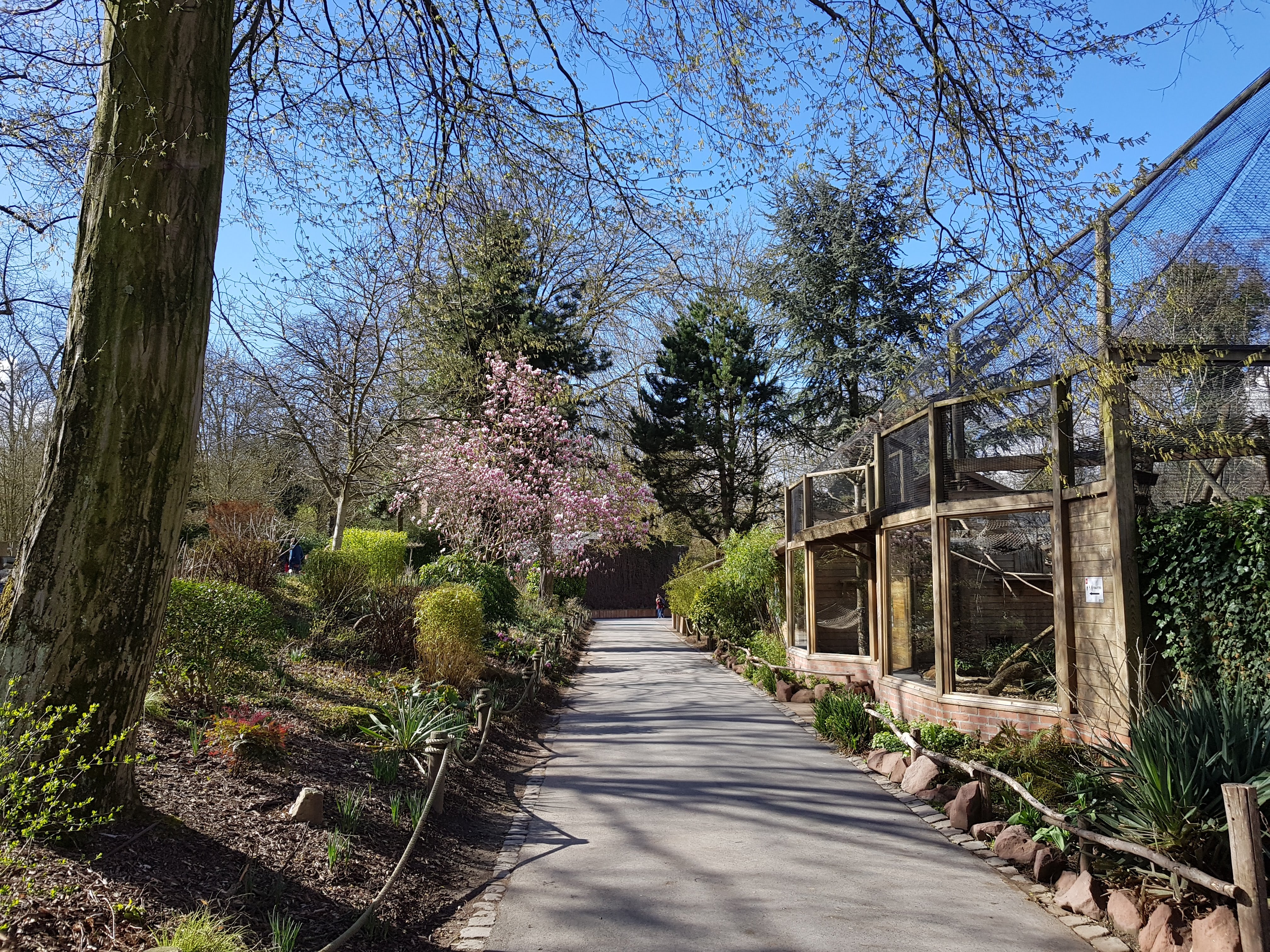 Photo n° 22 de l'avis de Charbel.l fait le 17/03/2019 à 23:45